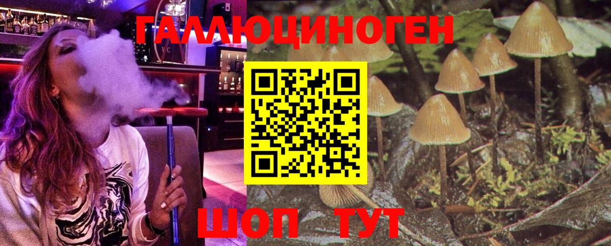 Чебоксары  Псилоцибиновые грибы мухоморы  Вход с VPN  Псилоцибиновые грибы Psilocybe 